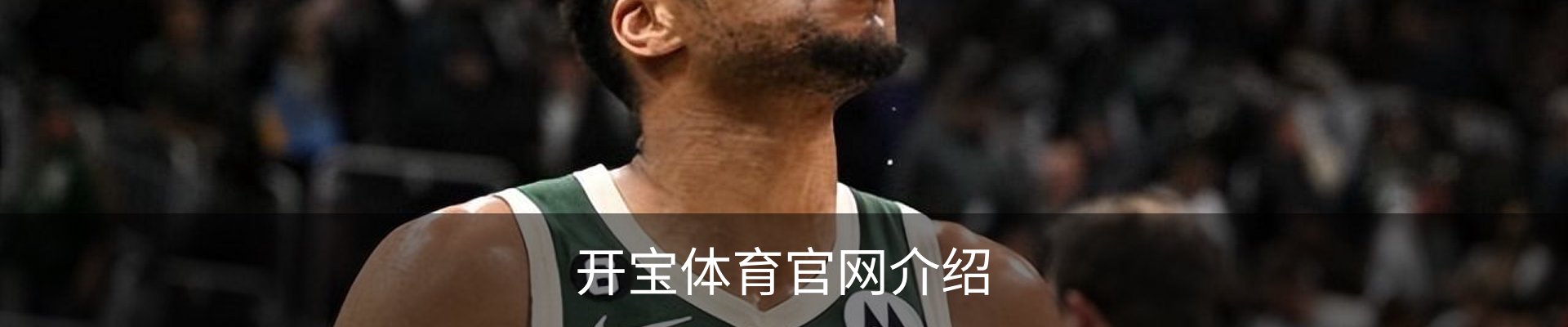 开宝体育官网介绍